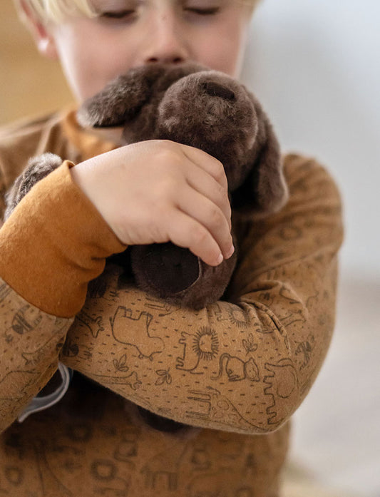 Hund mit Pflege-Set