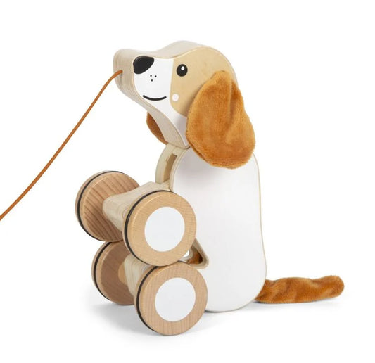 Nachziehtier Hund mit Knisterohren