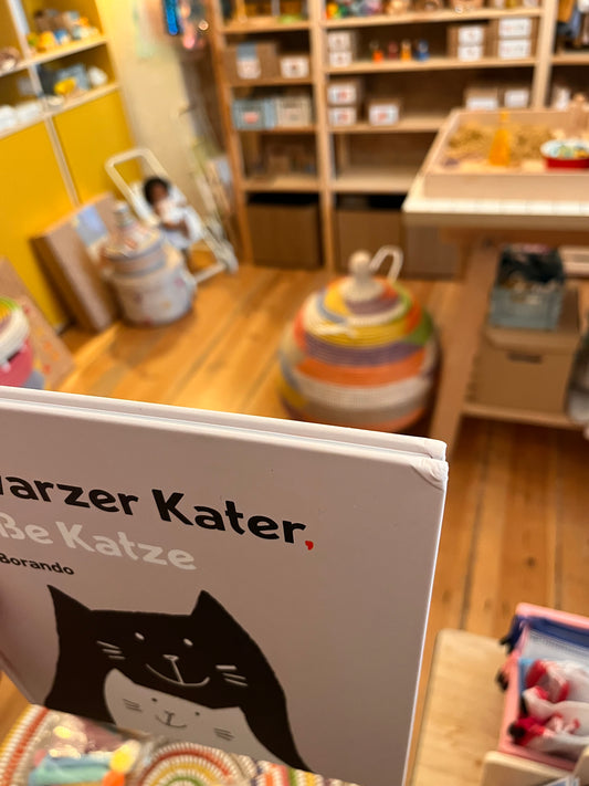 B-Ware / Schwarzer Kater, weiße Katze