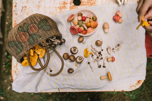 Waldpilze MUSHROOM GROVE