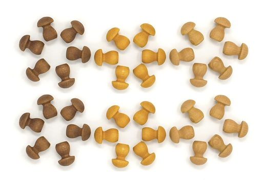 Mandala Pilze
