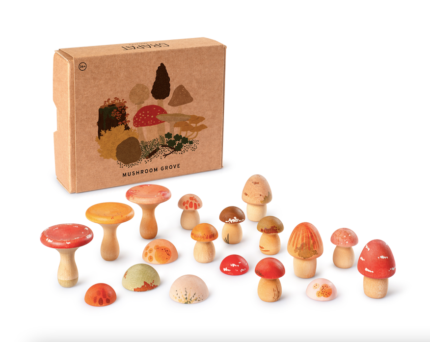 Waldpilze MUSHROOM GROVE
