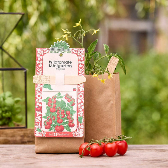 Minigarten - Wildtomate bio