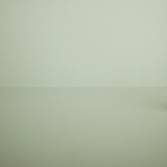 Geburtstagszug Minze